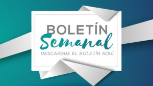 boletin semanal