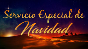 servicio-especial